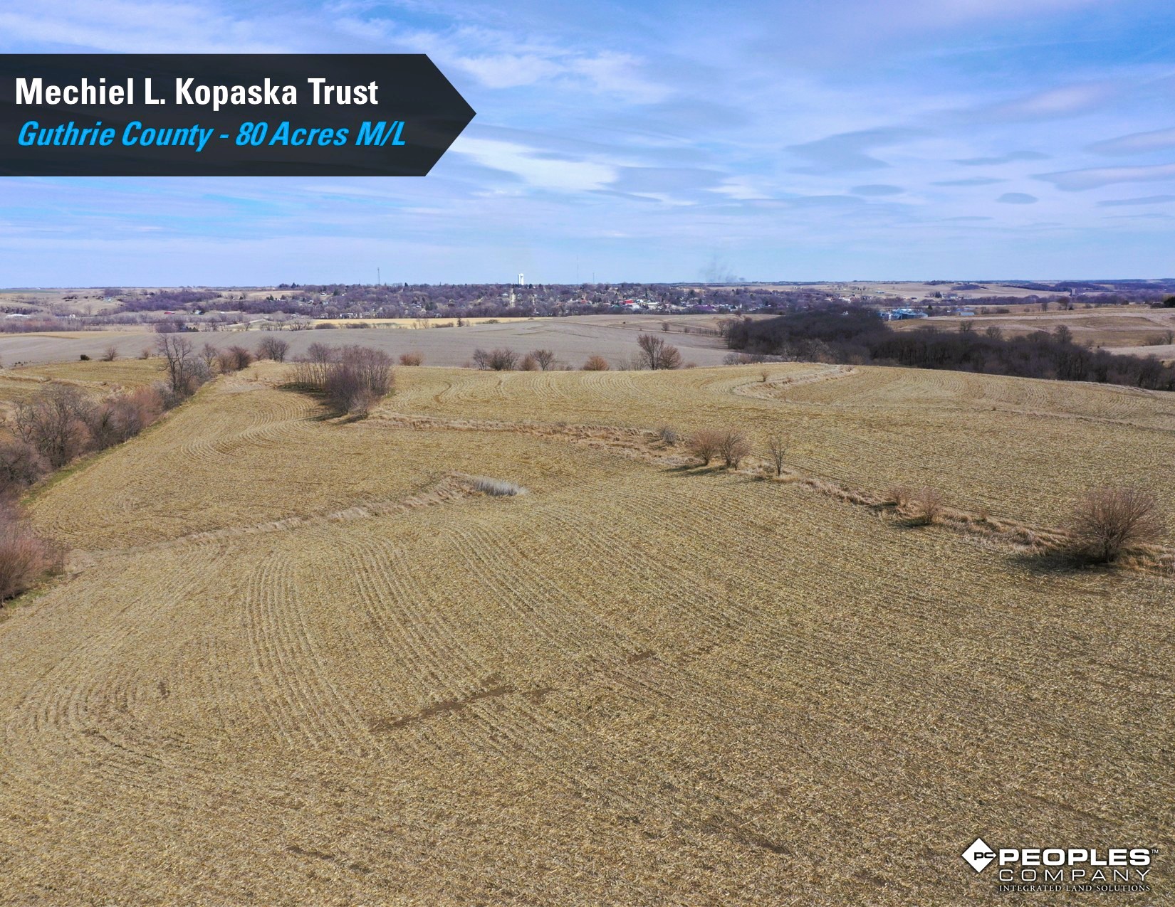 Listing #18247